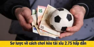 Hướng Dẫn Đọc Kèo 2.75 Trong Các Trận Đấu Có Nhiều Bàn Thắng