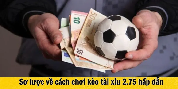 Hướng Dẫn Đọc Kèo 2.75 Trong Các Trận Đấu Có Nhiều Bàn Thắng