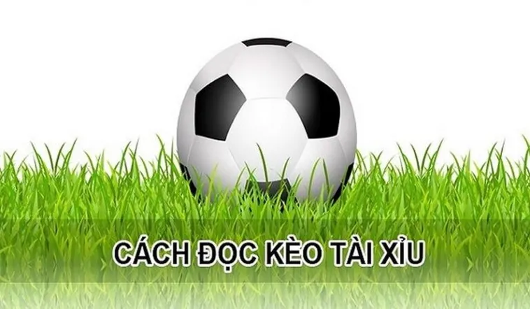 Bí Quyết Soi Kèo Tài Xỉu Hiệp 1 Chính Xác Nhất