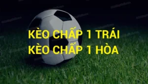 Hướng Dẫn Cách Đọc Kèo Chấp 1 Trái Trong Bóng Đá Hiệu Quả