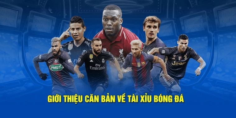 Bí Quyết Soi Kèo Tài Xỉu Bóng Đá Chuẩn Xác Từ Chuyên Gia